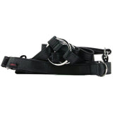 Her Royal Harness The Duchess in Black