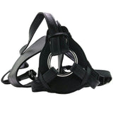 Her Royal Harness The Queen in Black
