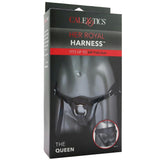 Her Royal Harness The Queen in Black