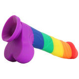 Rainbow Pumped Silicone Dildo