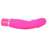 Wet Dreams Cock Tease Silicone Vibe in Pink