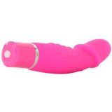 Wet Dreams Cock Tease Silicone Vibe in Pink