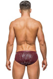 Maroon Dazzle Insert Bikini in S