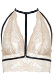 Odette Soft Nude Lace Bralette in 1X