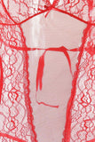 Red Floral Lace Mesh Teddy in M-L