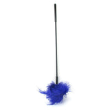 Ostrich Feather Body Tickler in Purple