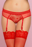 Red Lace & Dot Mesh Panty in S