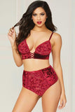 Crushed Velvet Bralette & High Waist Panty in M