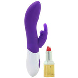 The Classic Rabbit in Purple