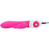 The Rotating Rabbit in Hot Pink