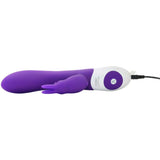 The Rotating Rabbit in Purple