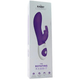 The Rotating Rabbit in Purple