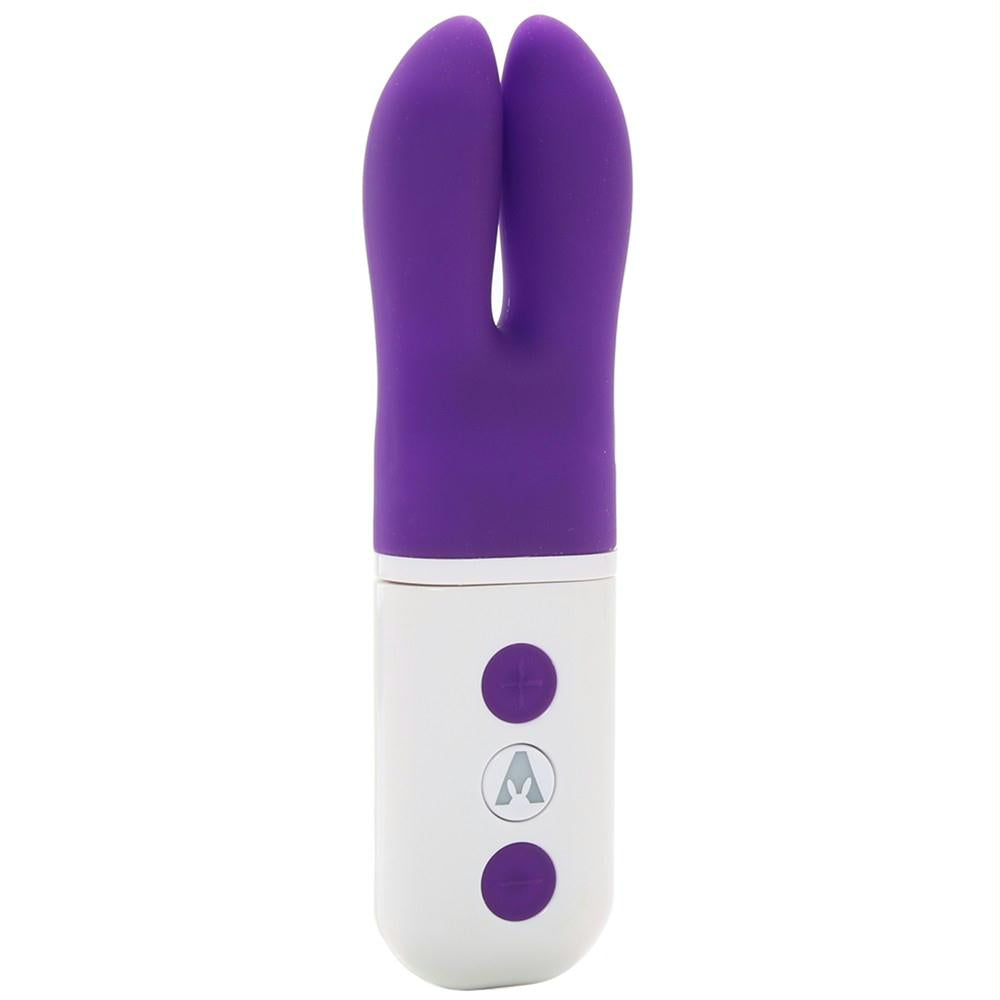 The Pocket Rabbit in Purple