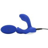 The Prostate Rabbit in Navy