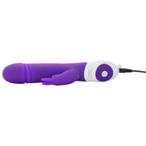 The Thrusting Rabbit in Purple