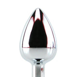 Master Series Lucent Steel Anal Plug