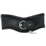 Strict Locking Posture Collar